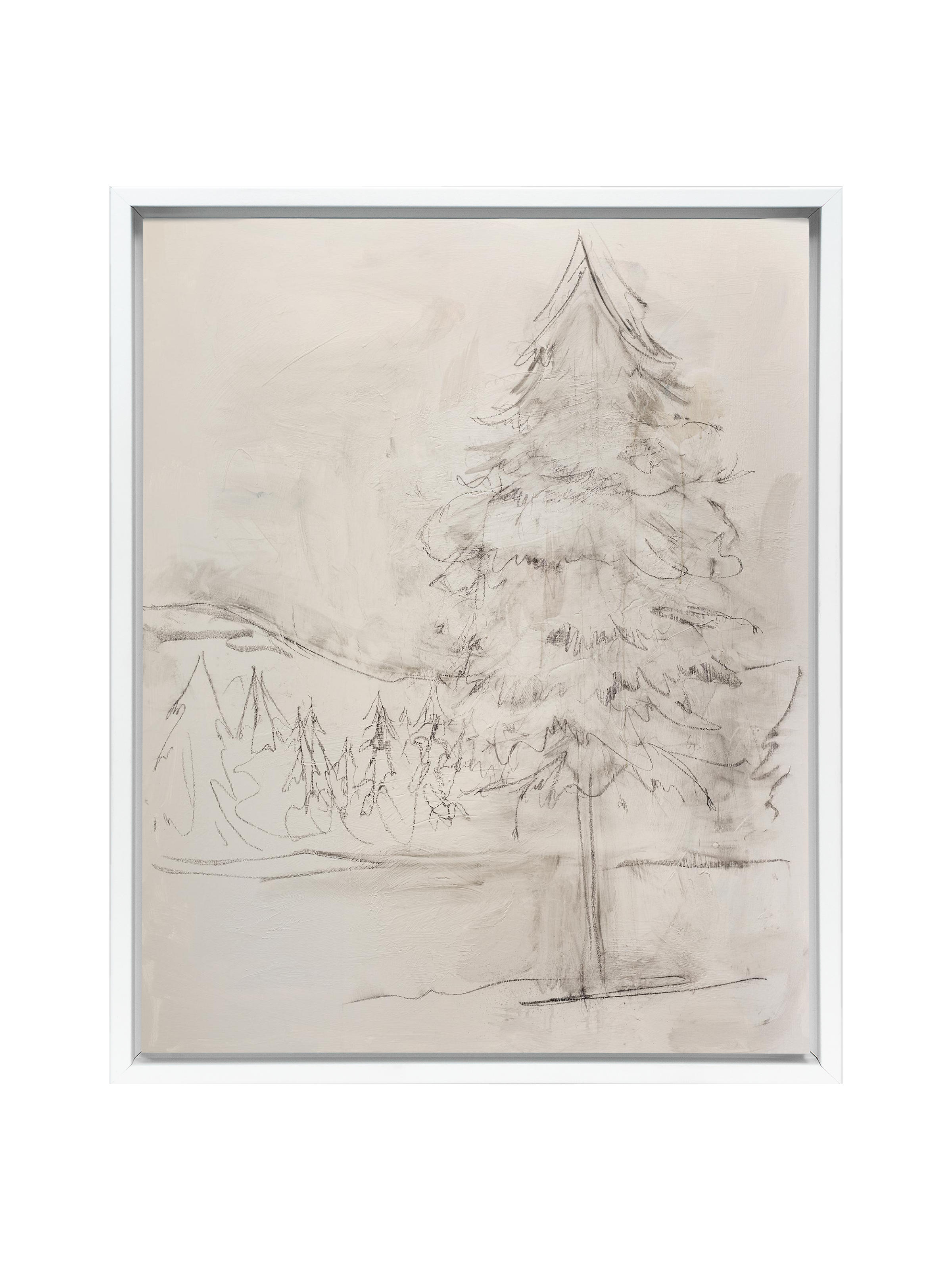 Evergreen | Canvas