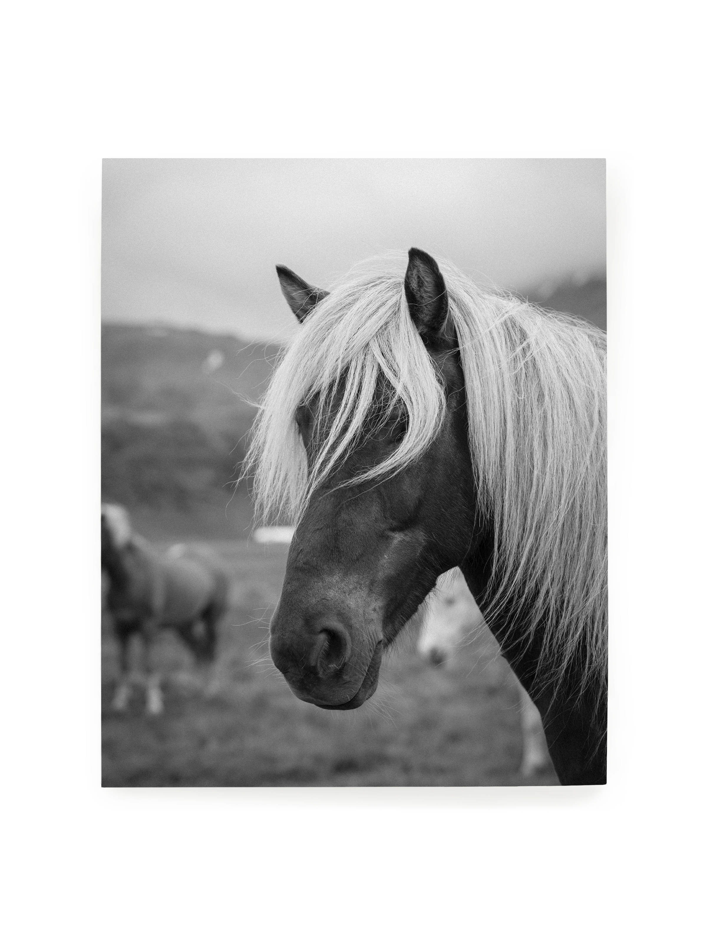 Goldilocks | Art Print