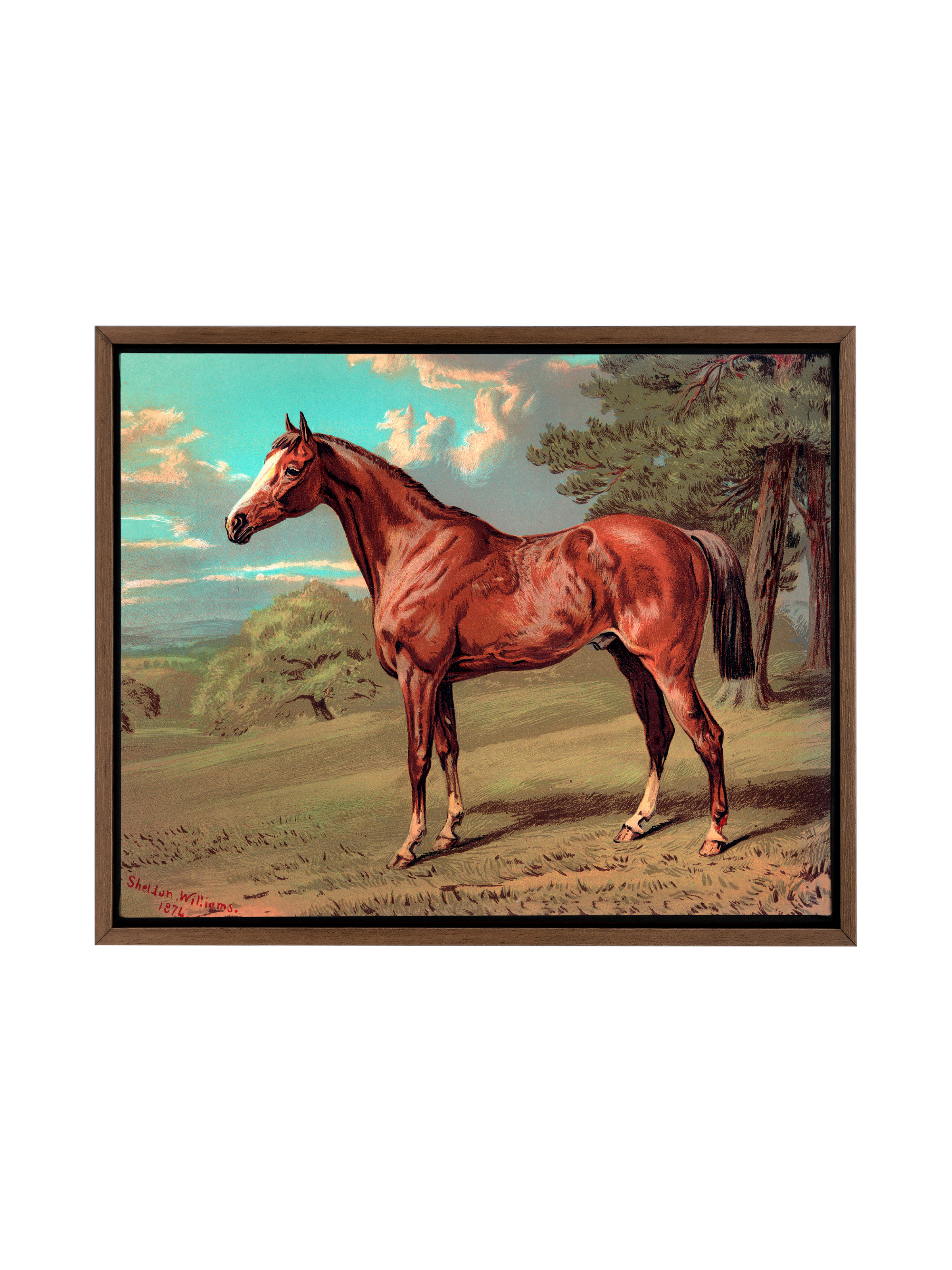 Horse Against Aqua Sky | Canvas