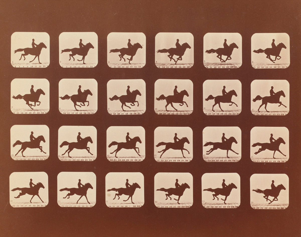 Horse on Film Luxe Art Print