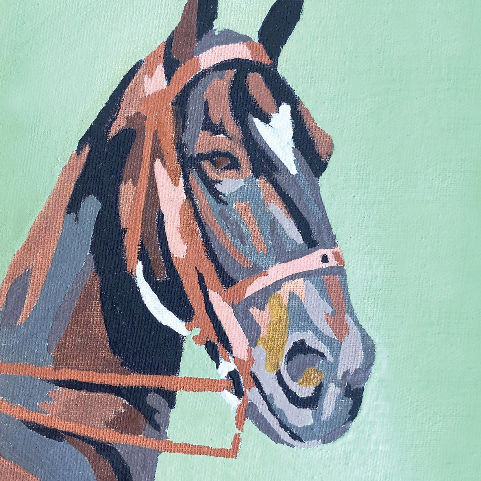 Horse Paint by Number Canvas Wall Art