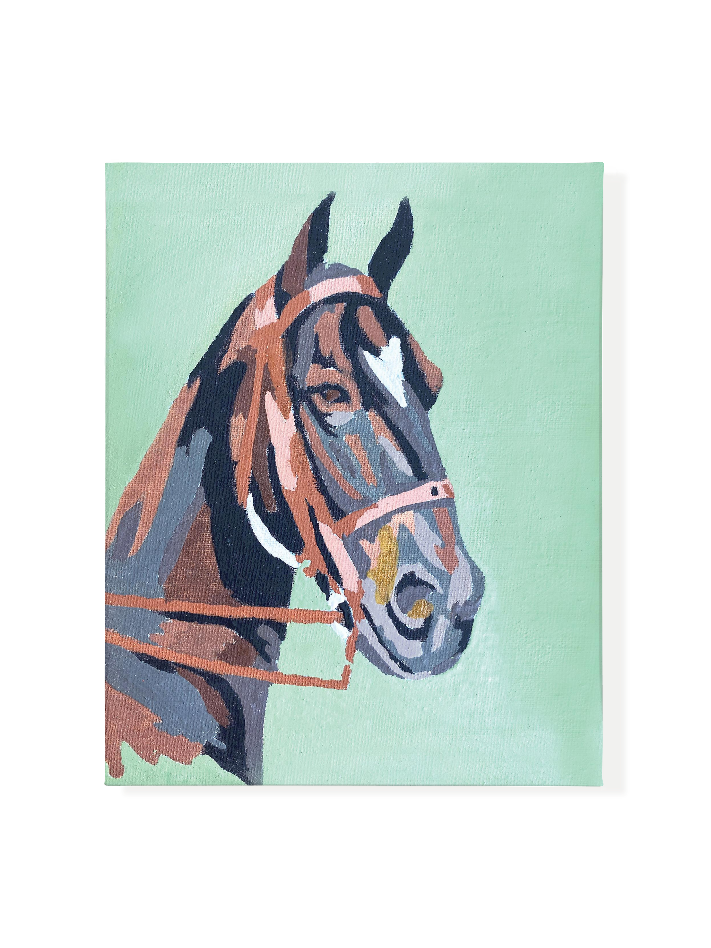 Horse Paint by Number | Canvas
