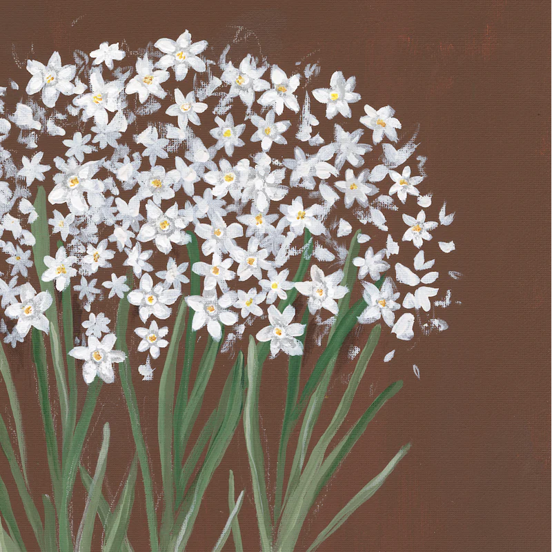 Paperwhite Botanical Luxe Art Print