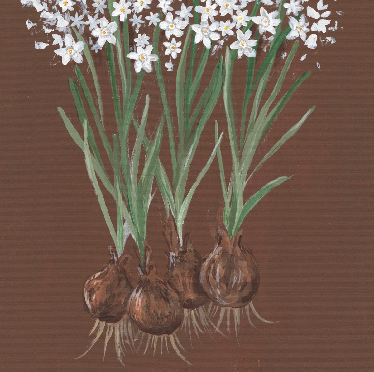 Paperwhite Botanical Luxe Art Print