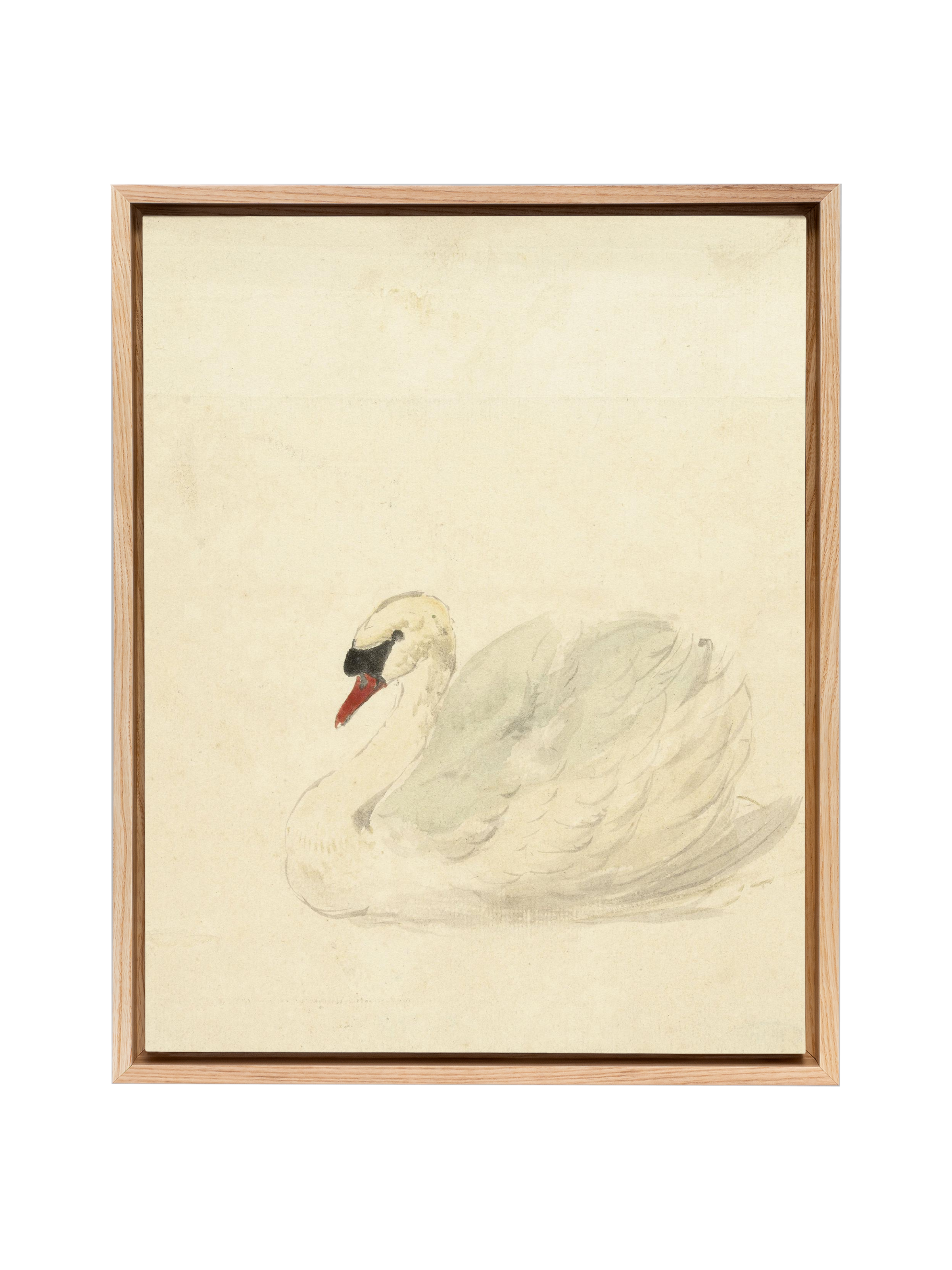 Ivory Swan | Canvas