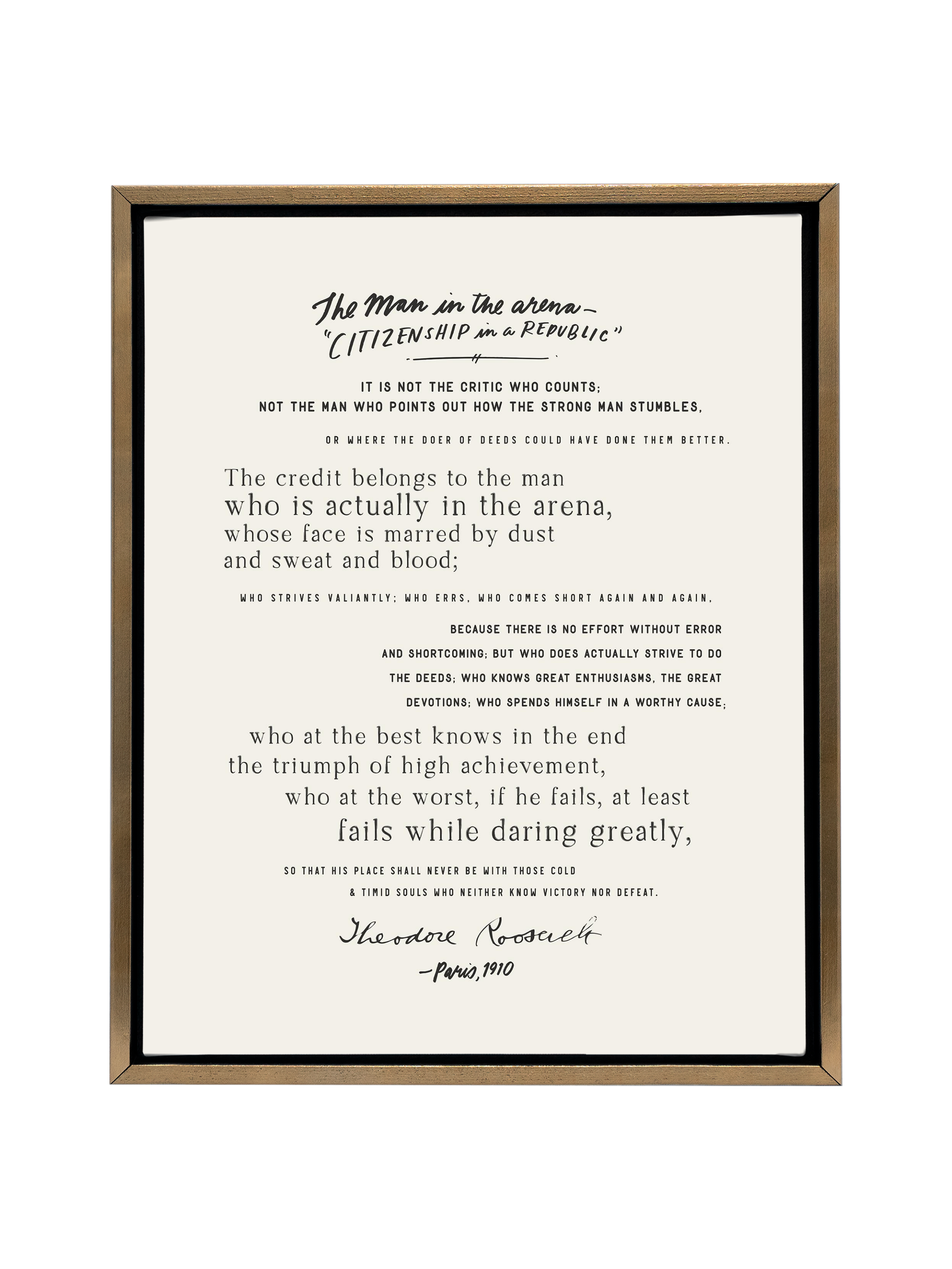 Man In The Arena | Canvas