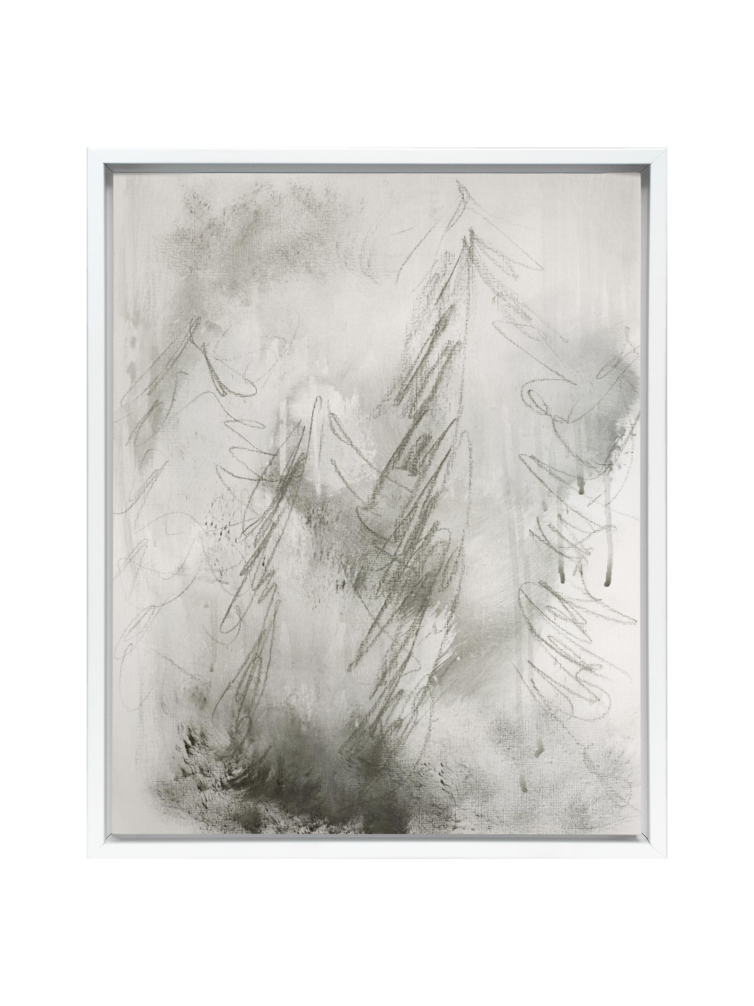 Misty Pines | Canvas