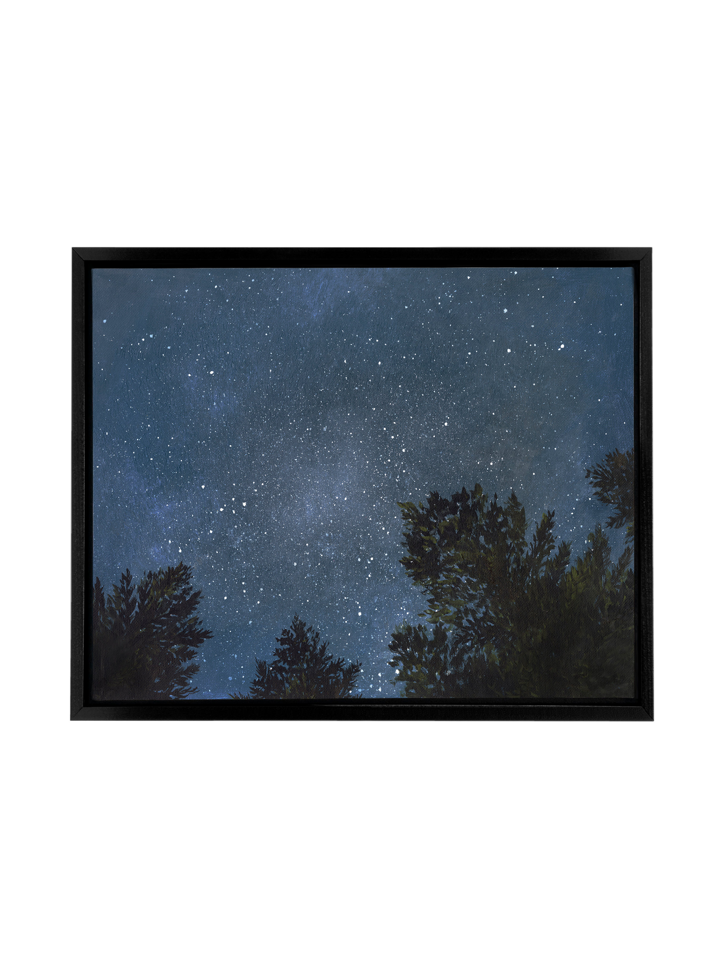 Looking Up at the Night Sky | Canvas