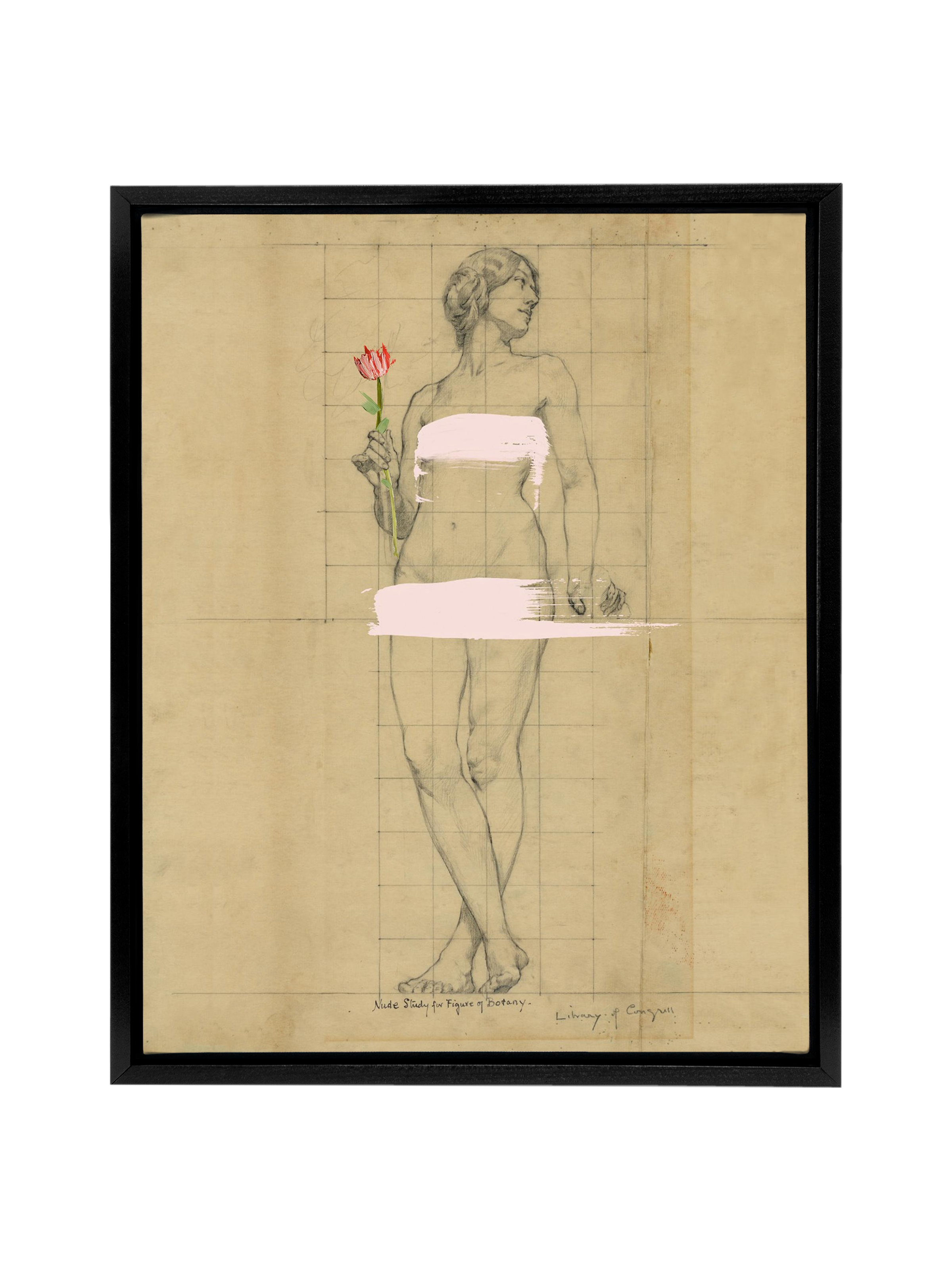 Painted Lady | Canvas