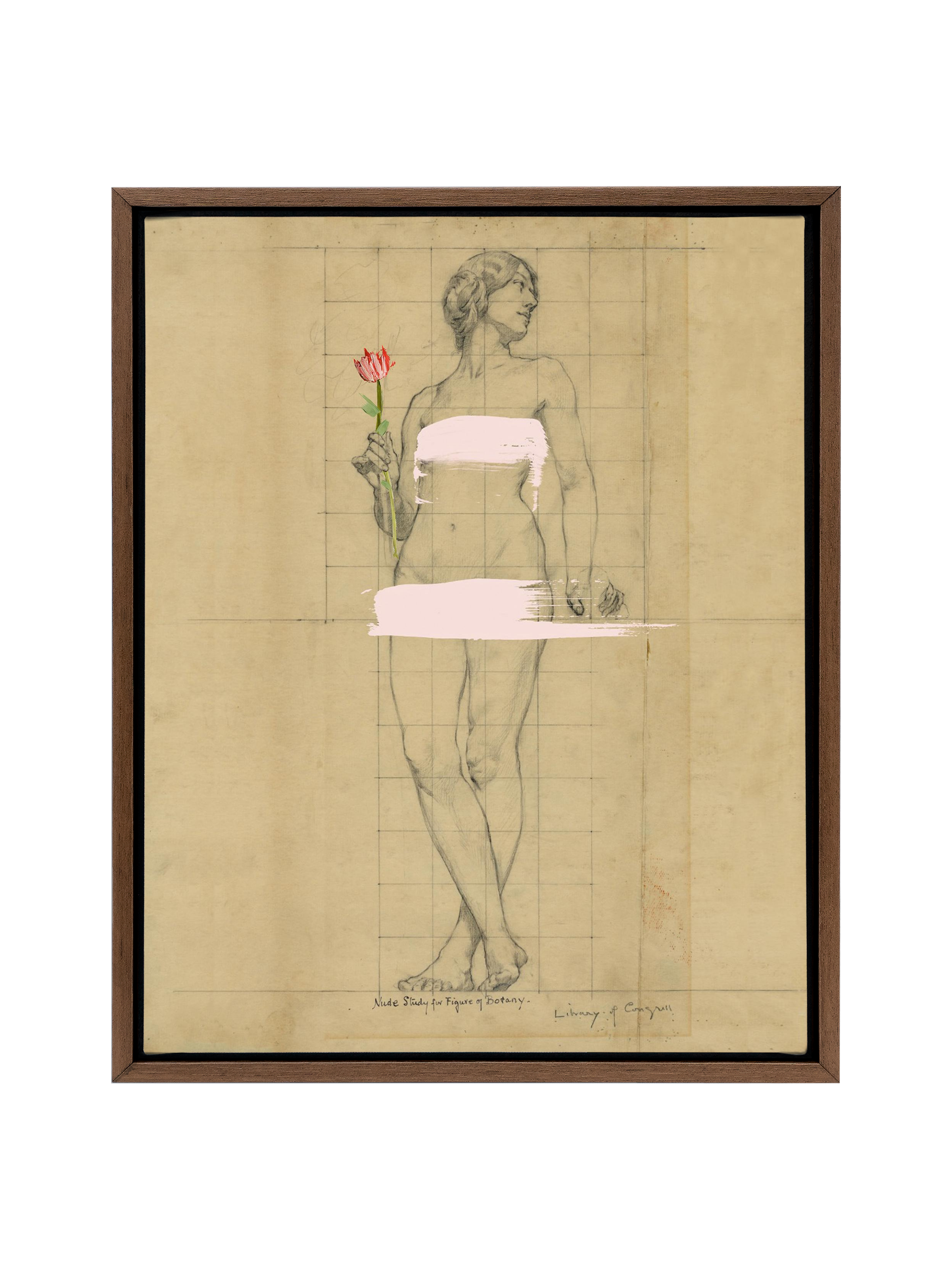 Painted Lady | Canvas