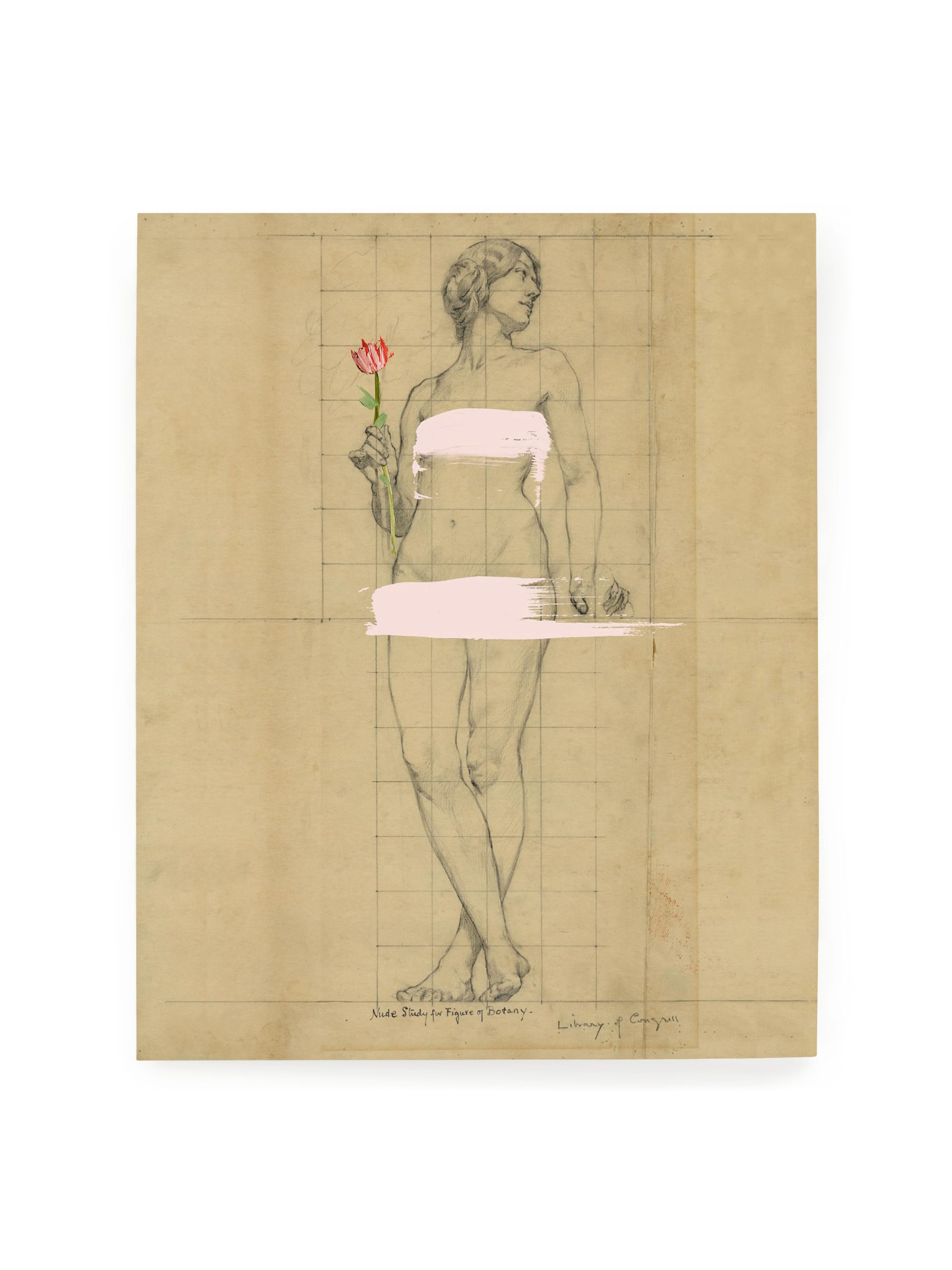 Painted Lady | Art Print