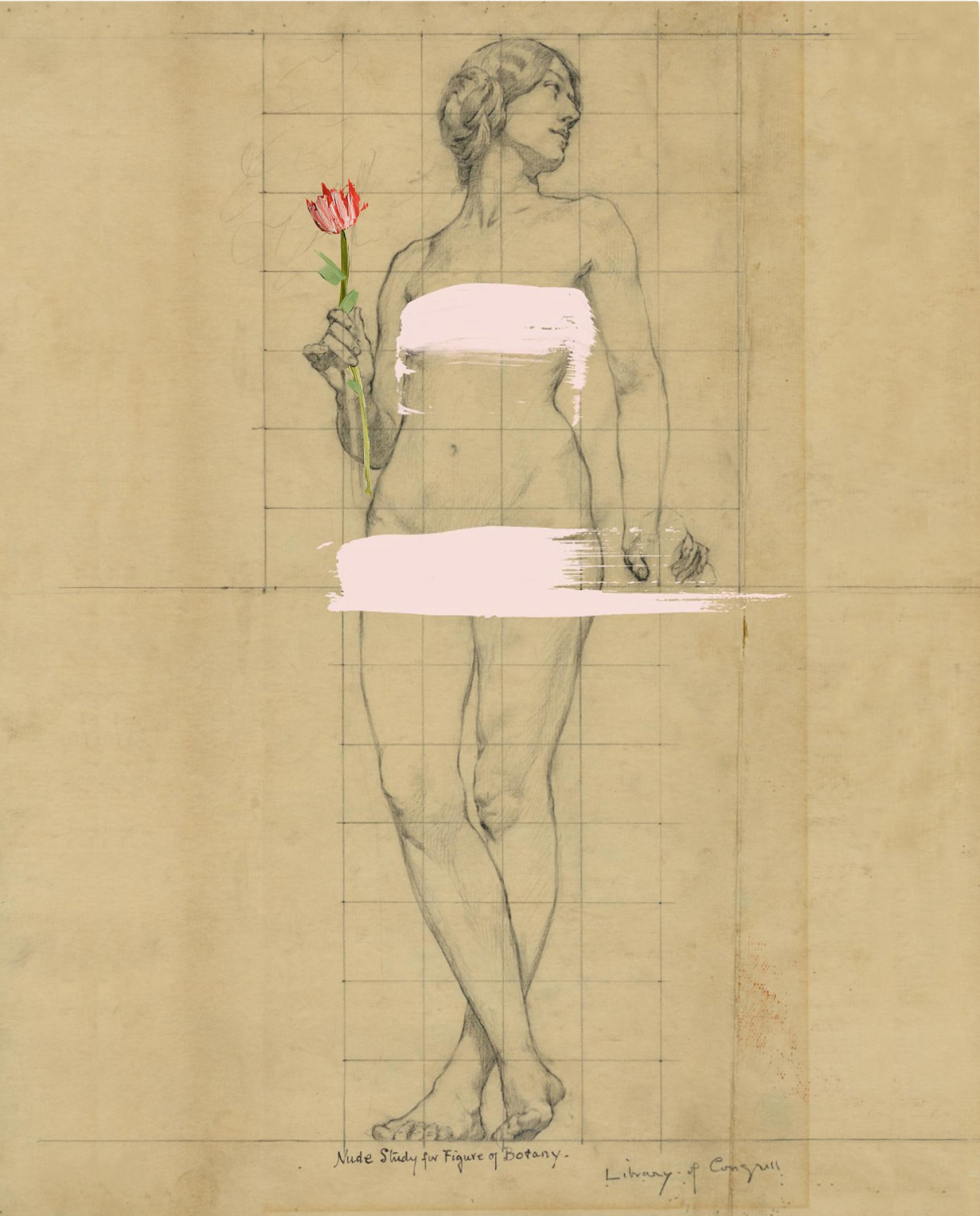 Painted Lady Luxe Art Print