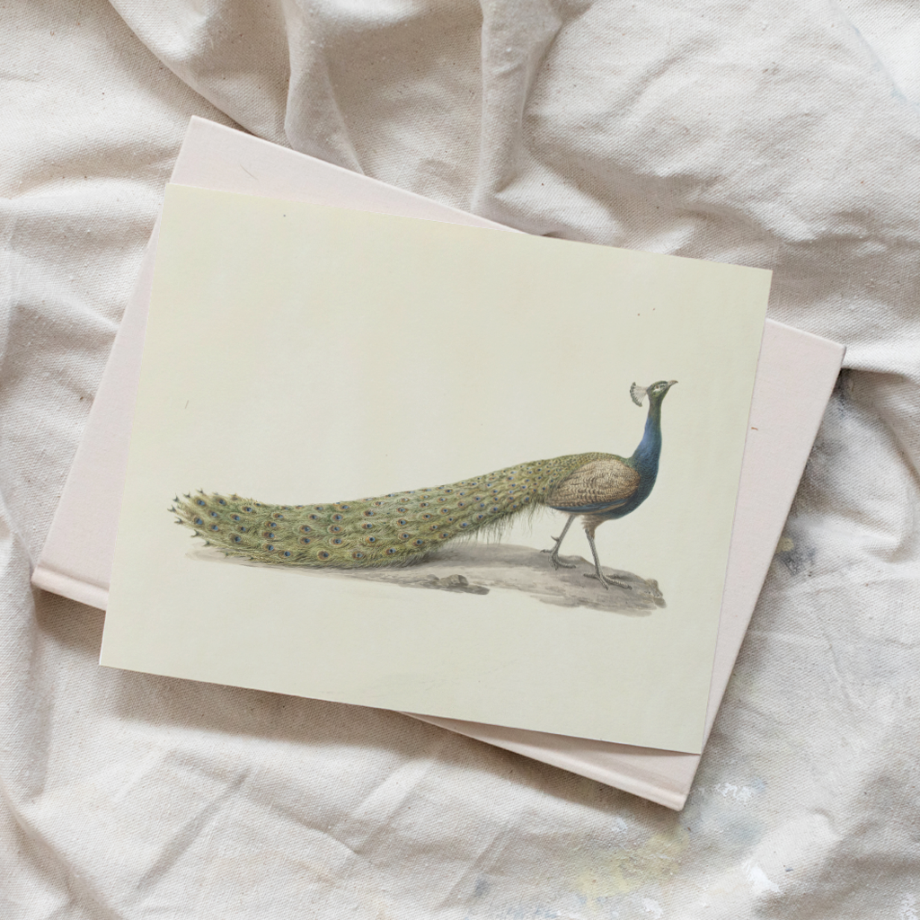 Mr. Peacock Luxe Art Print