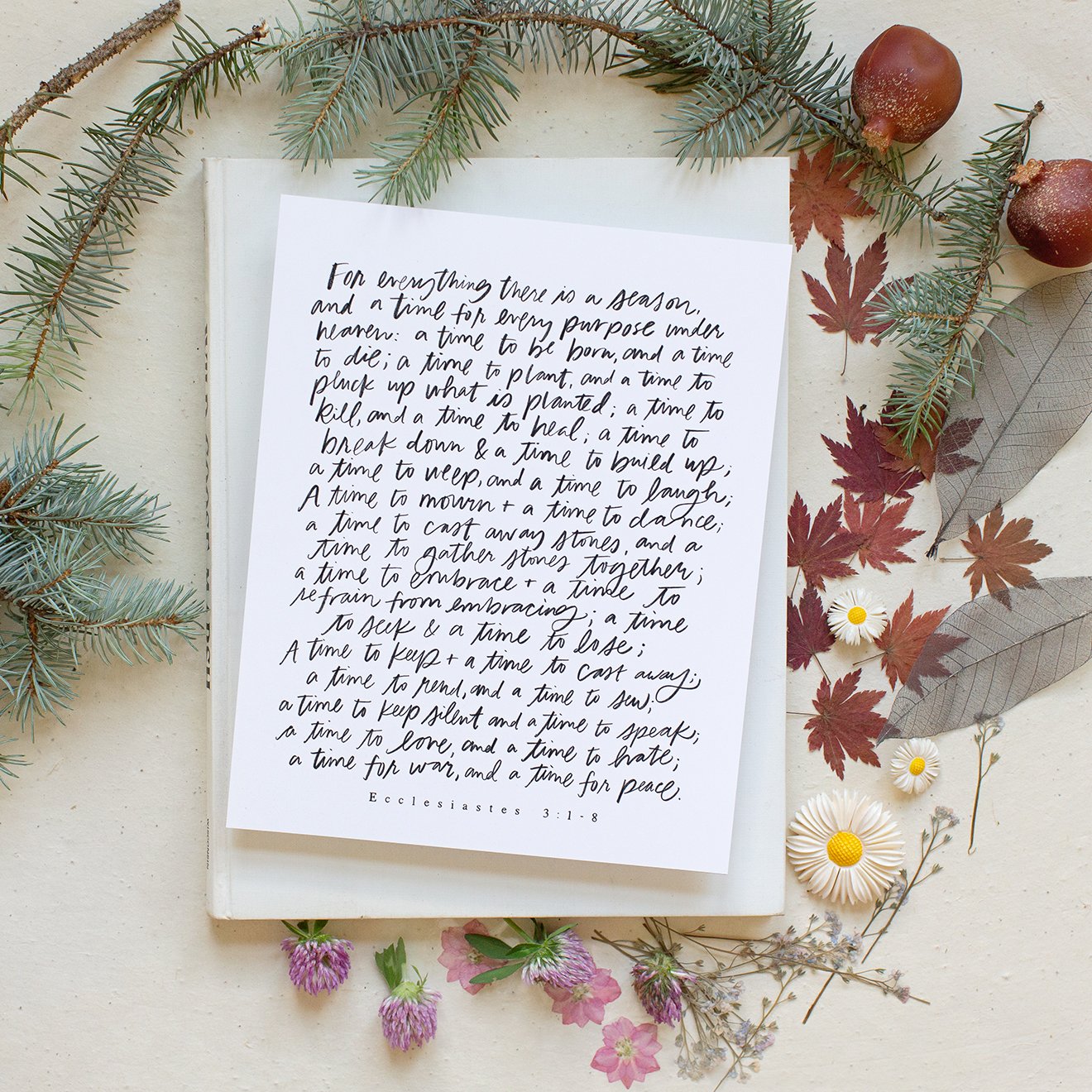 For Everything There Is A Season | Pure White | Canvas