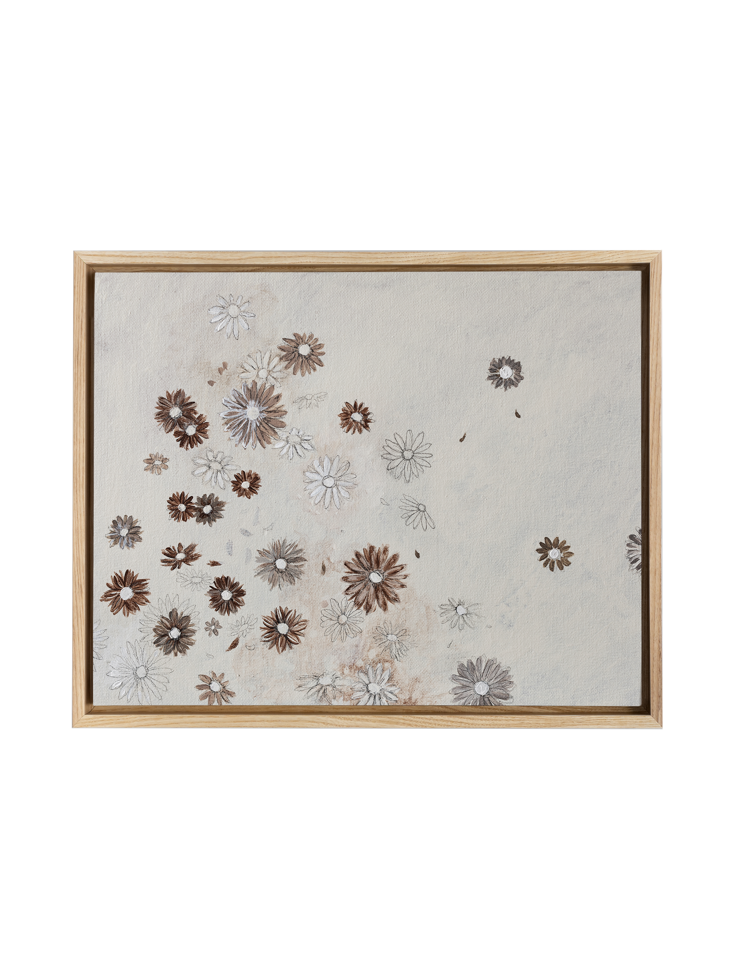 Scattered Sepia Daisies | Canvas