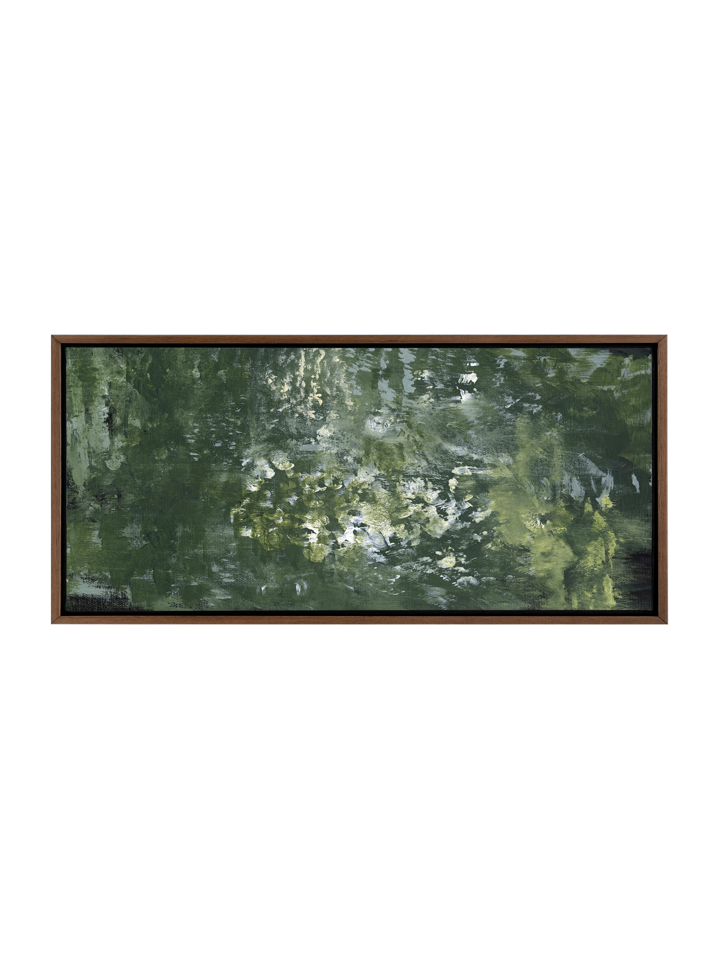 Snake Plant | Canvas