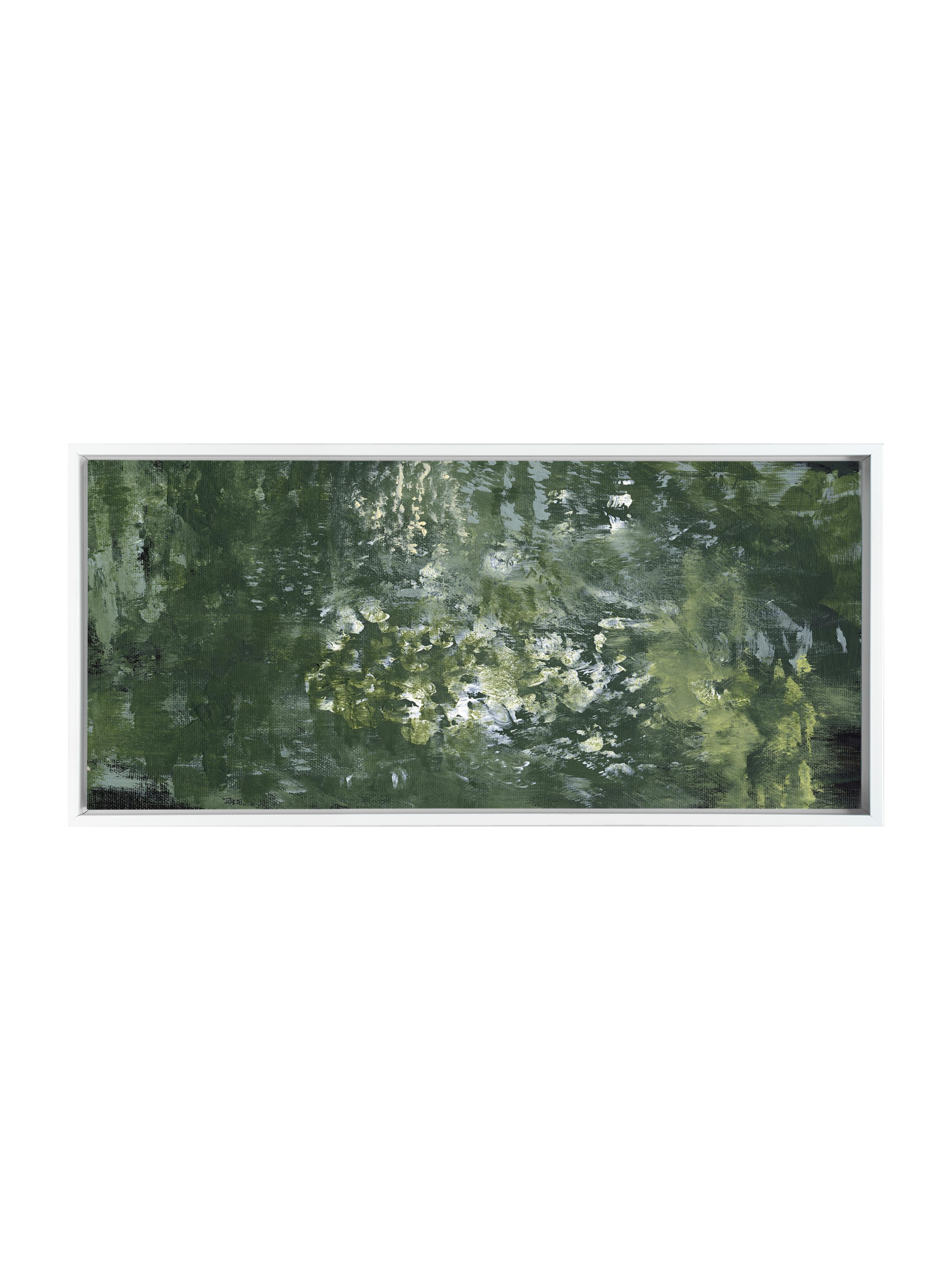 Snake Plant | Canvas