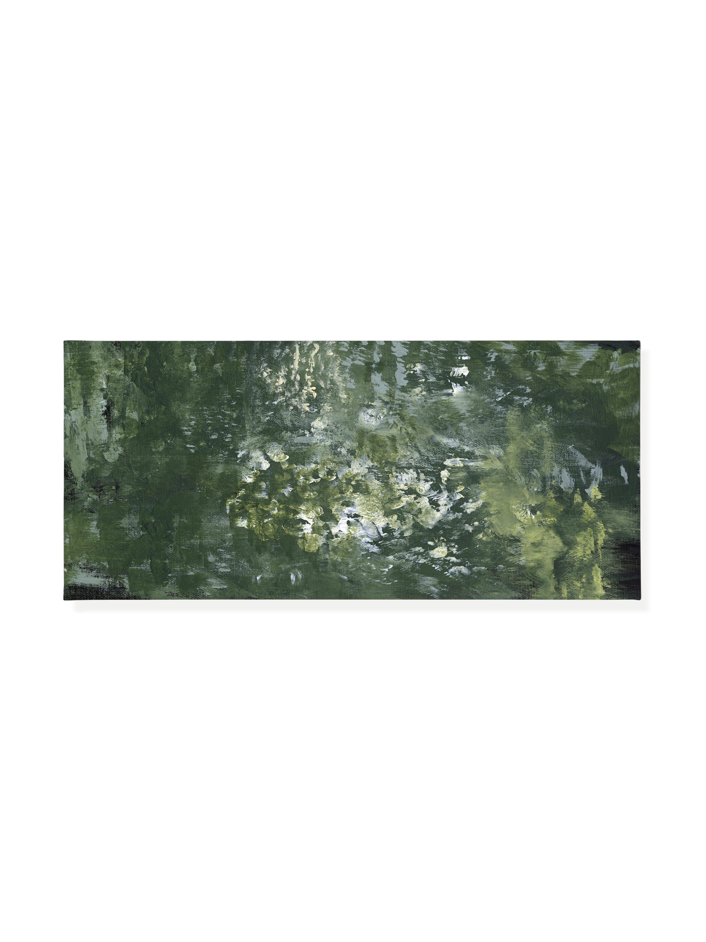 Snake Plant | Canvas