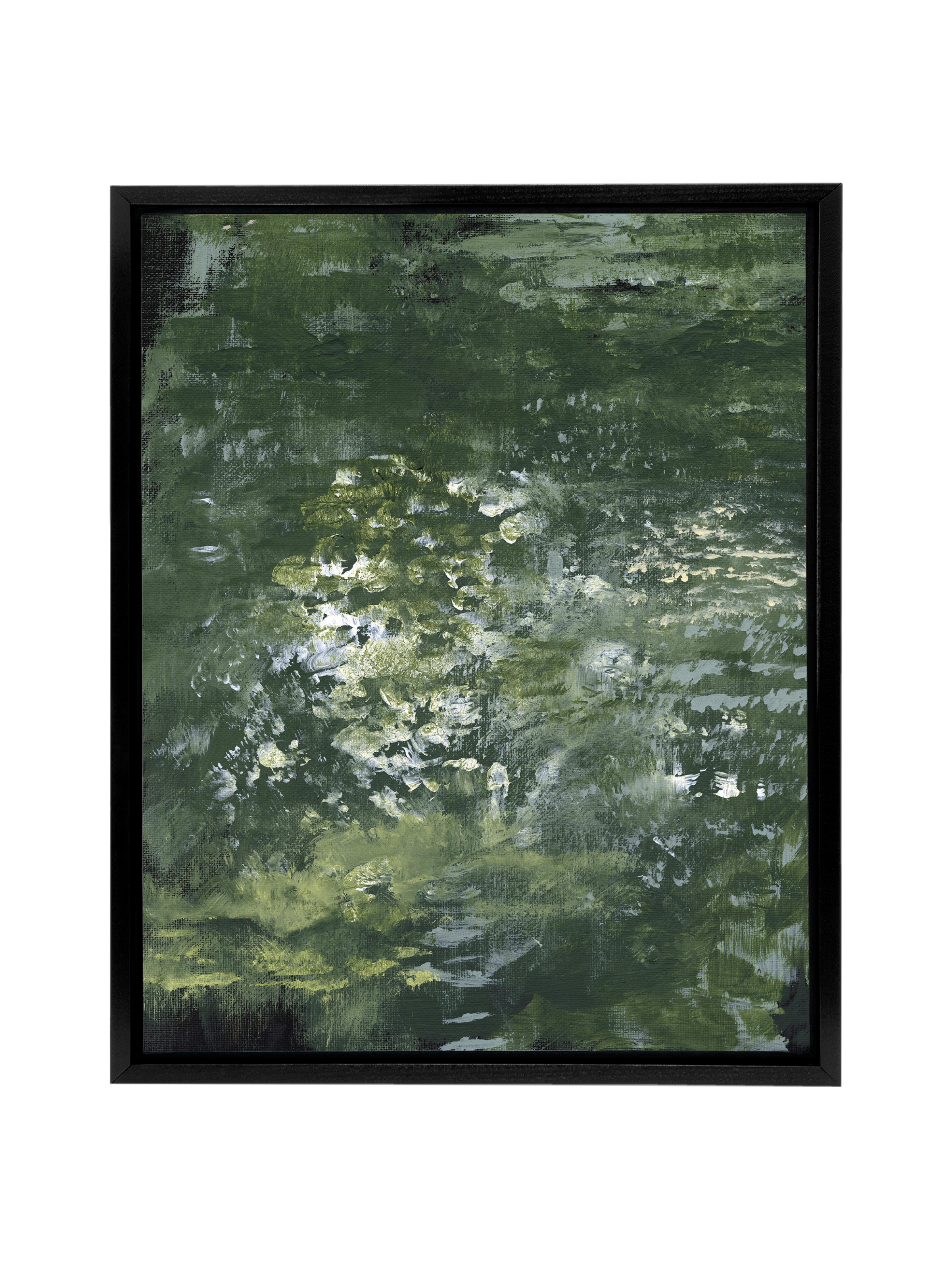 Snake Plant | Canvas