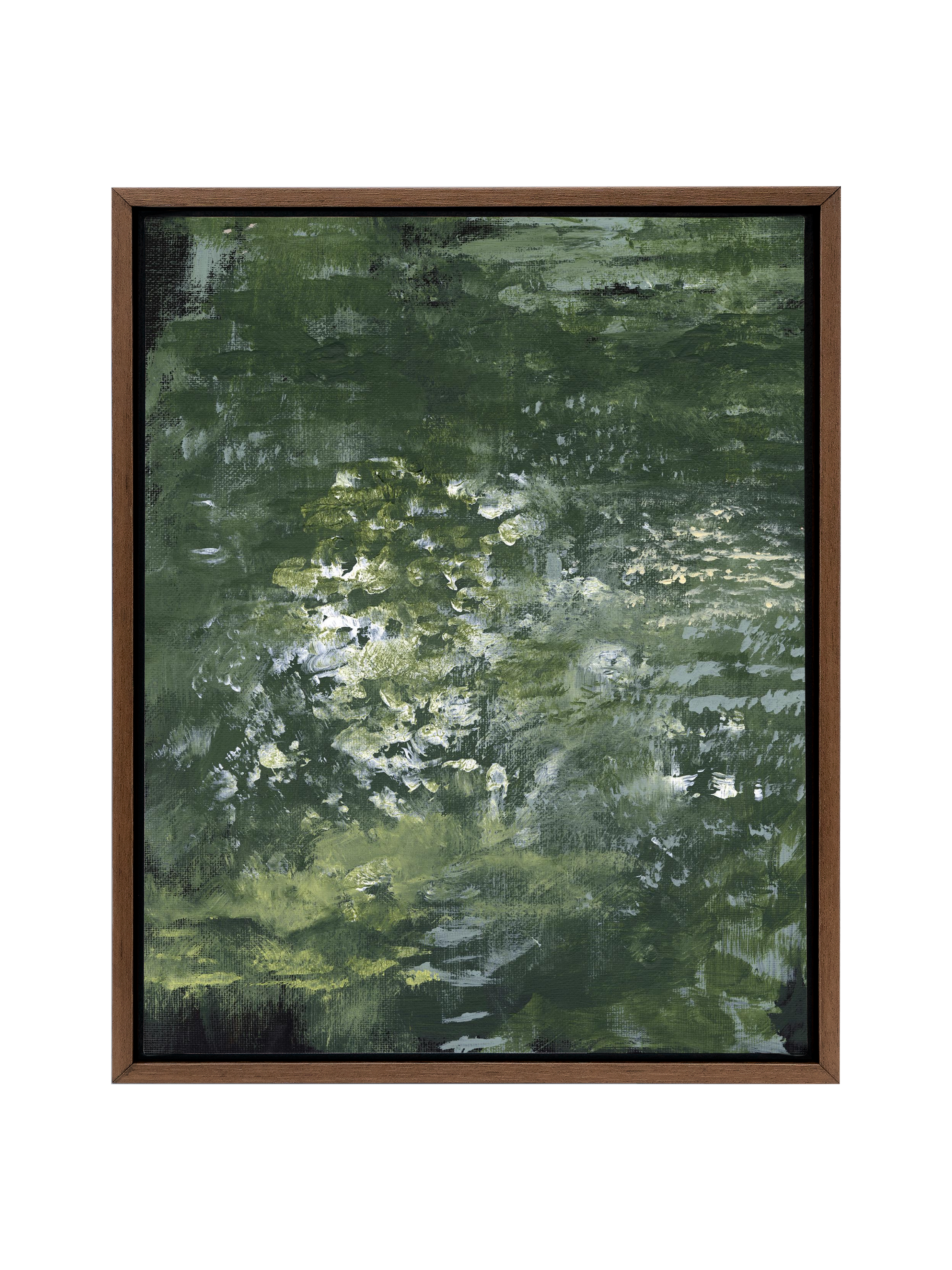 Snake Plant | Canvas