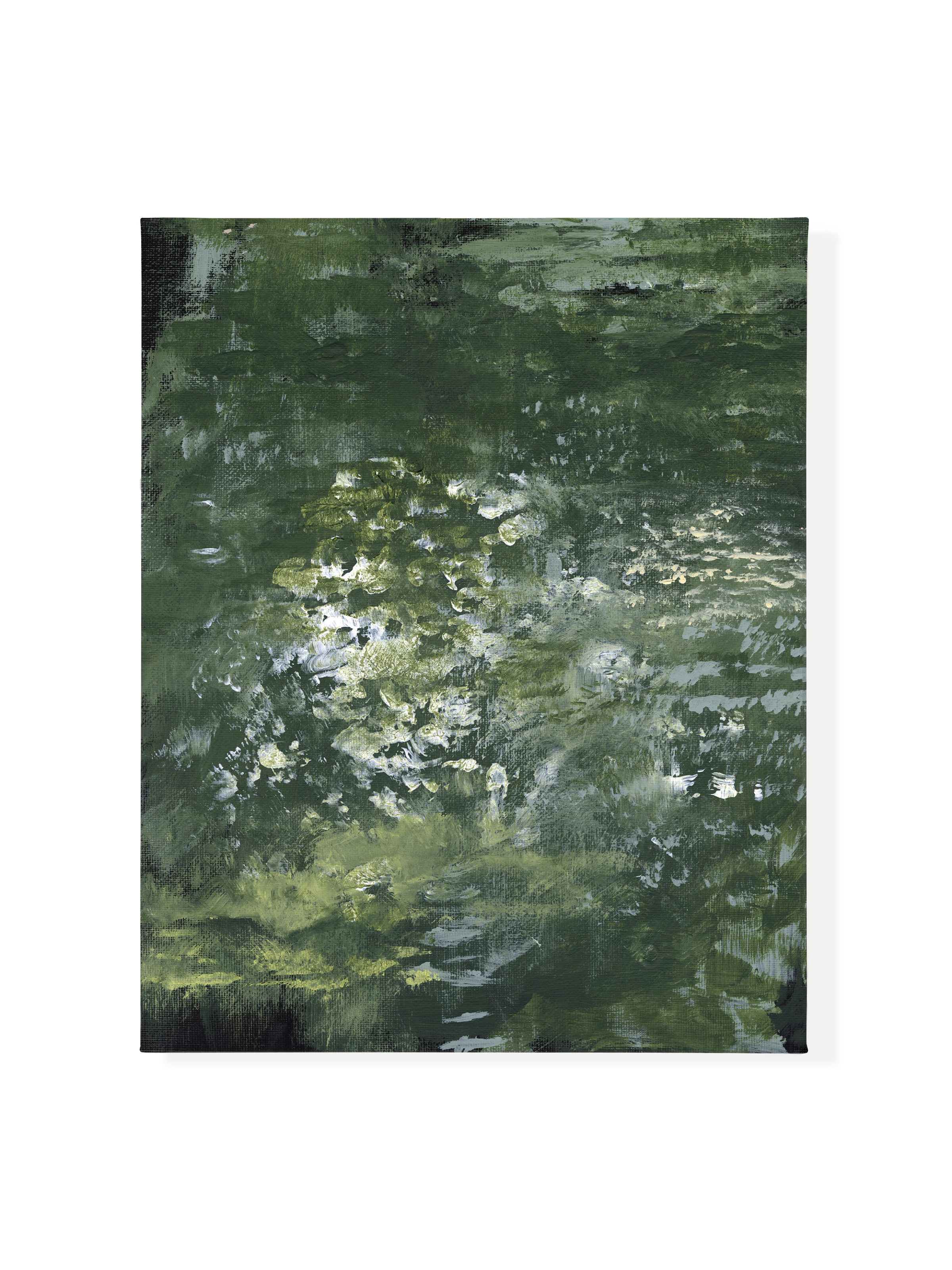 Snake Plant | Canvas