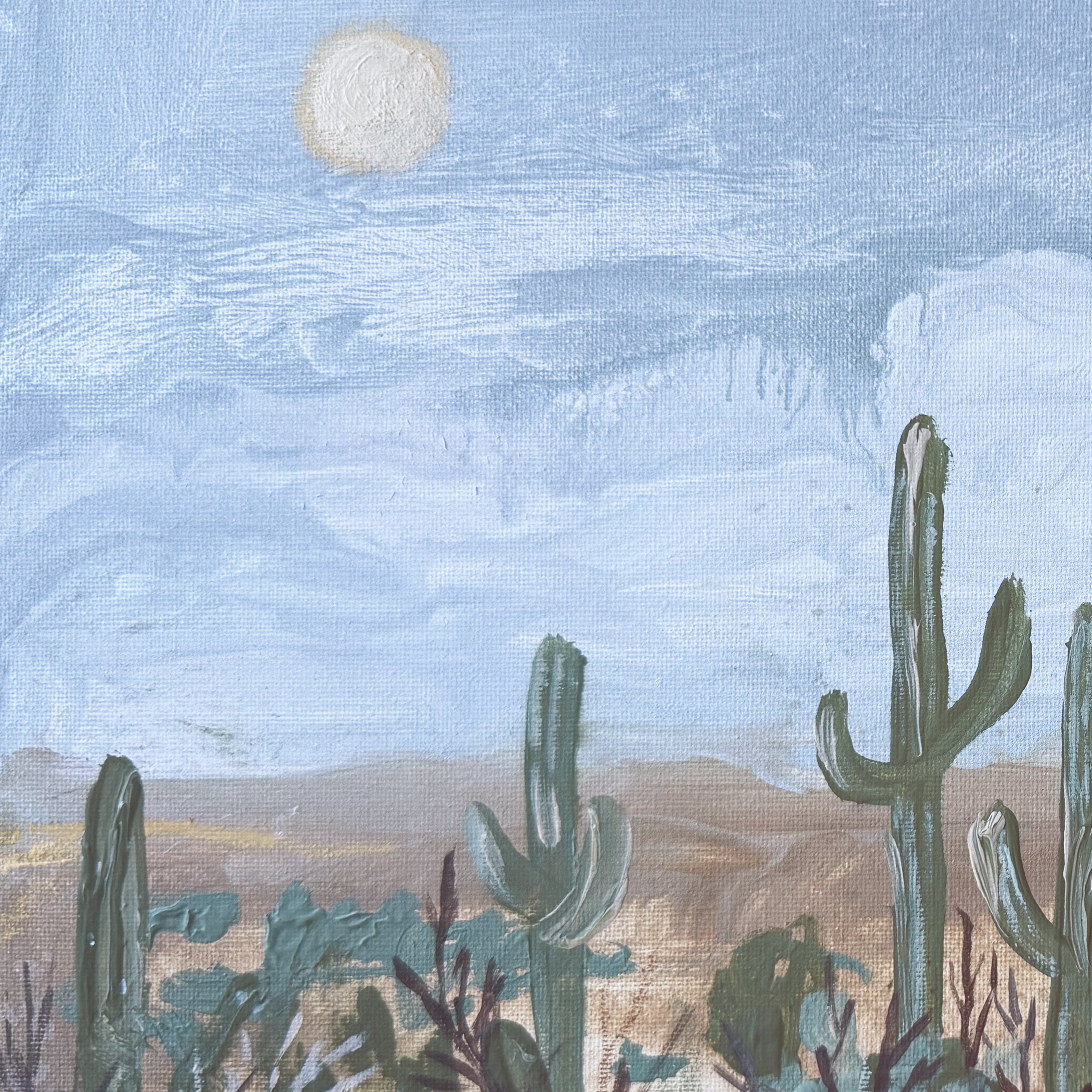 Sonoran Sky Canvas Wall Art. horizontal