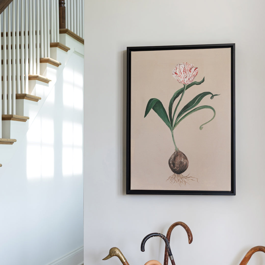 Rembrandt Tulip Botanical Canvas Wall Art