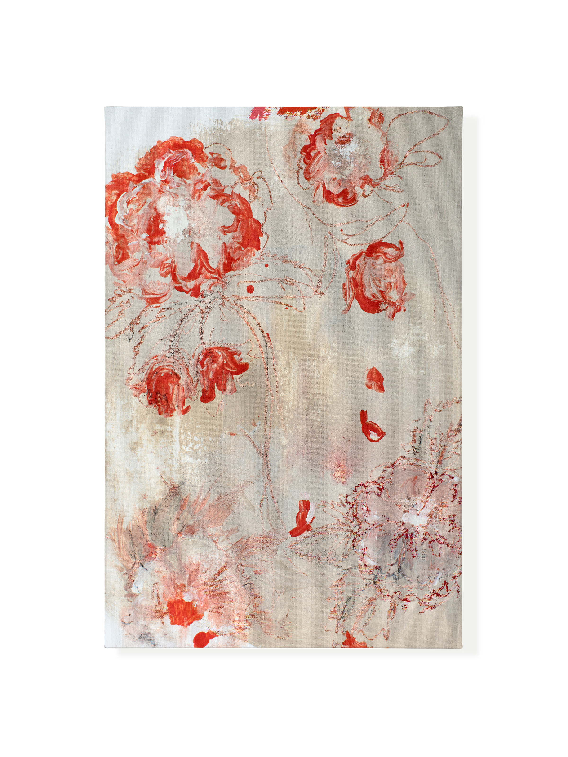 Poppies on Clay | Canvas