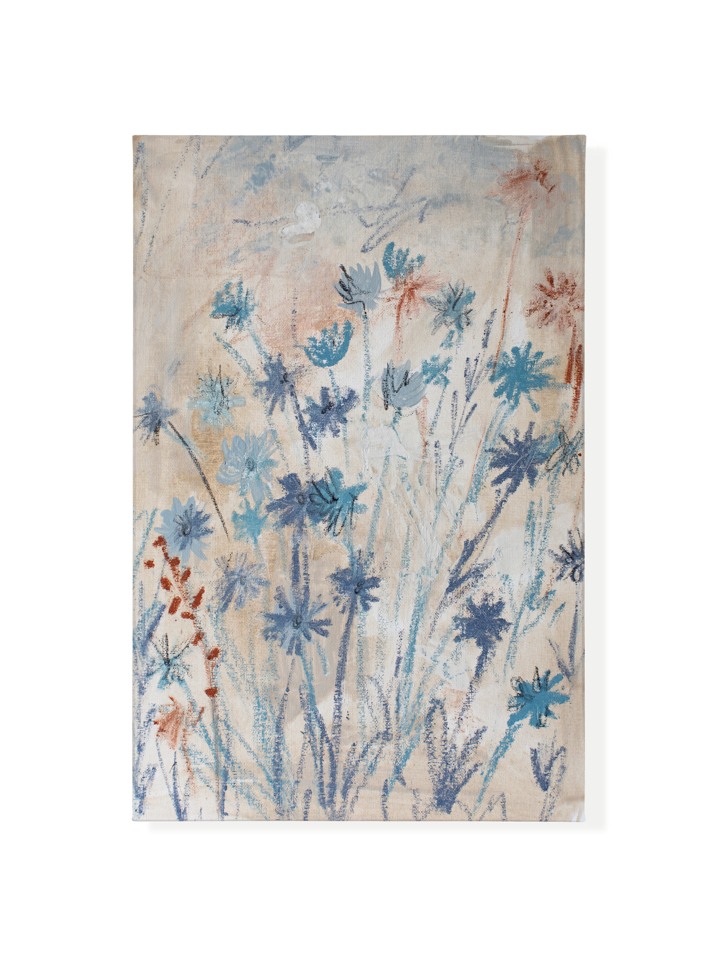 Chicory on Ash | Canvas