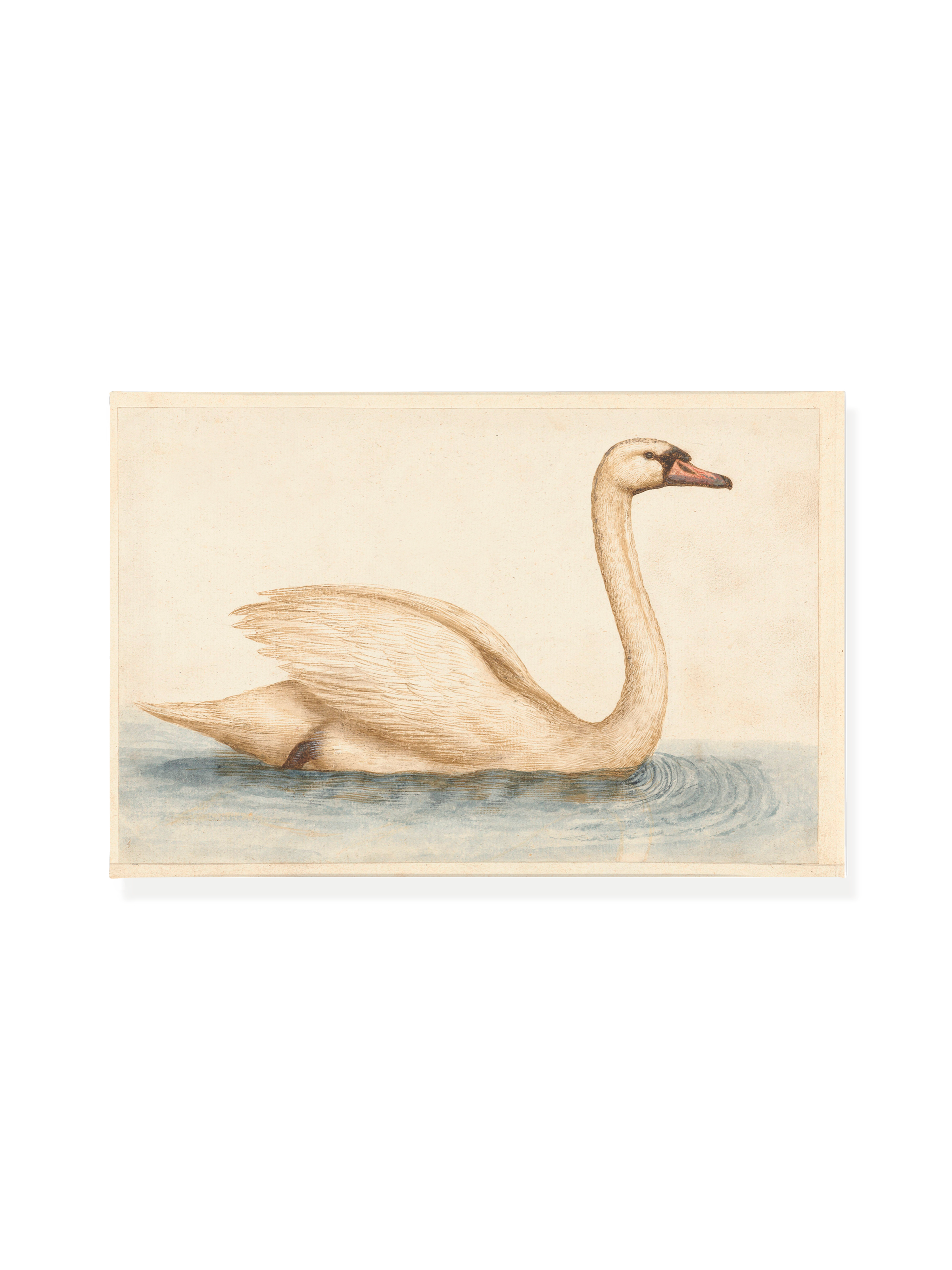 Vintage Swan | Canvas