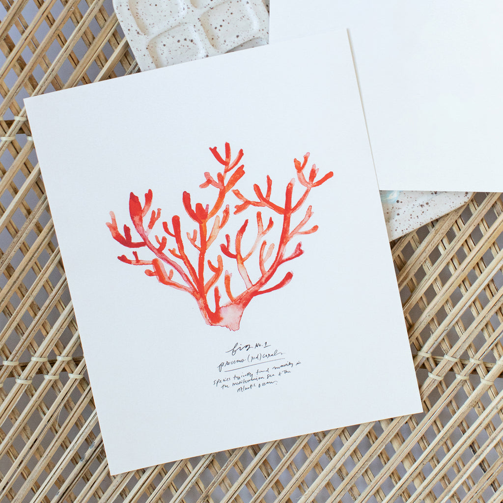 art print of red coral mini, size 8 x 10
