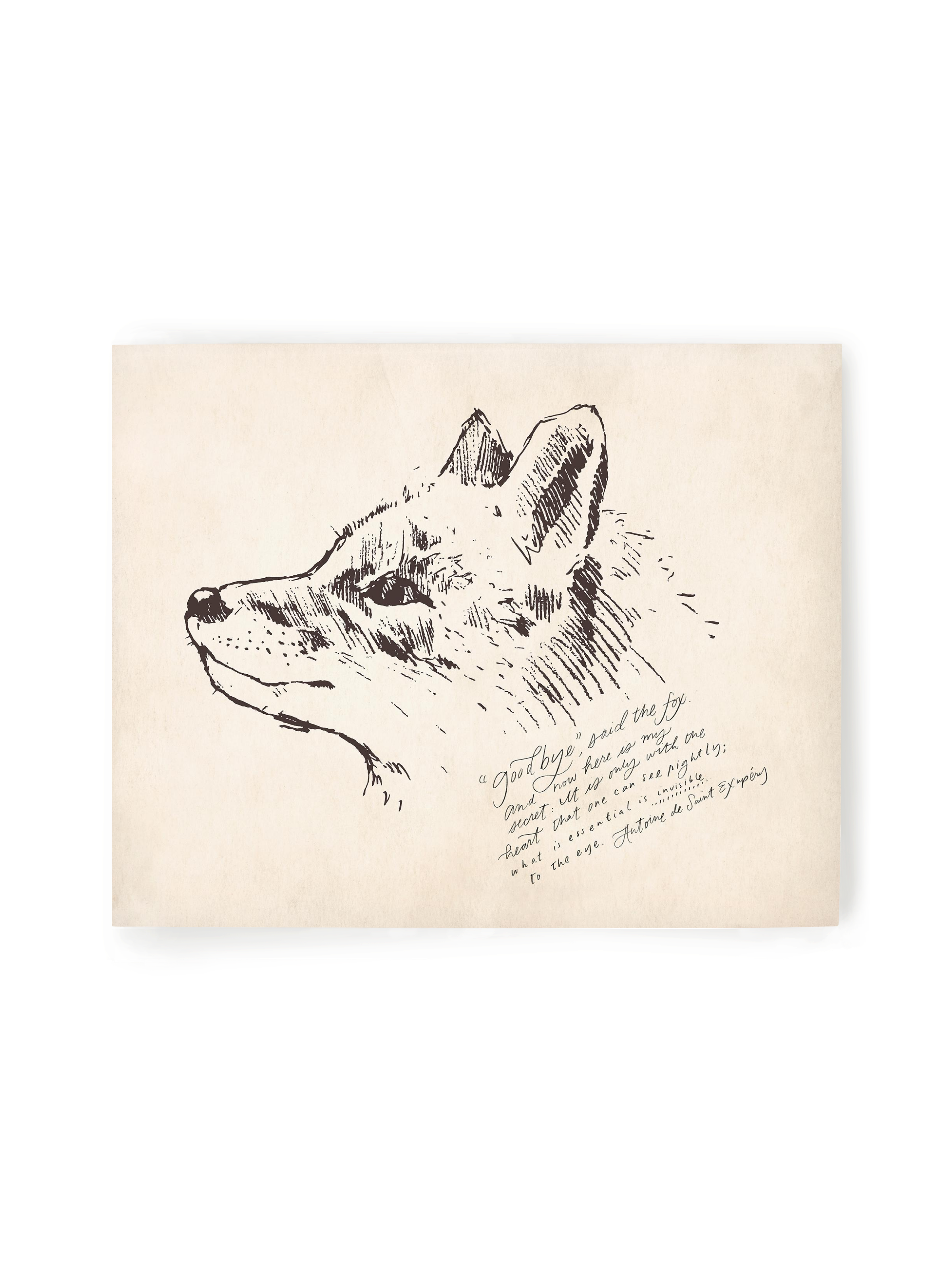 Wisdom from the Fox | Art Print