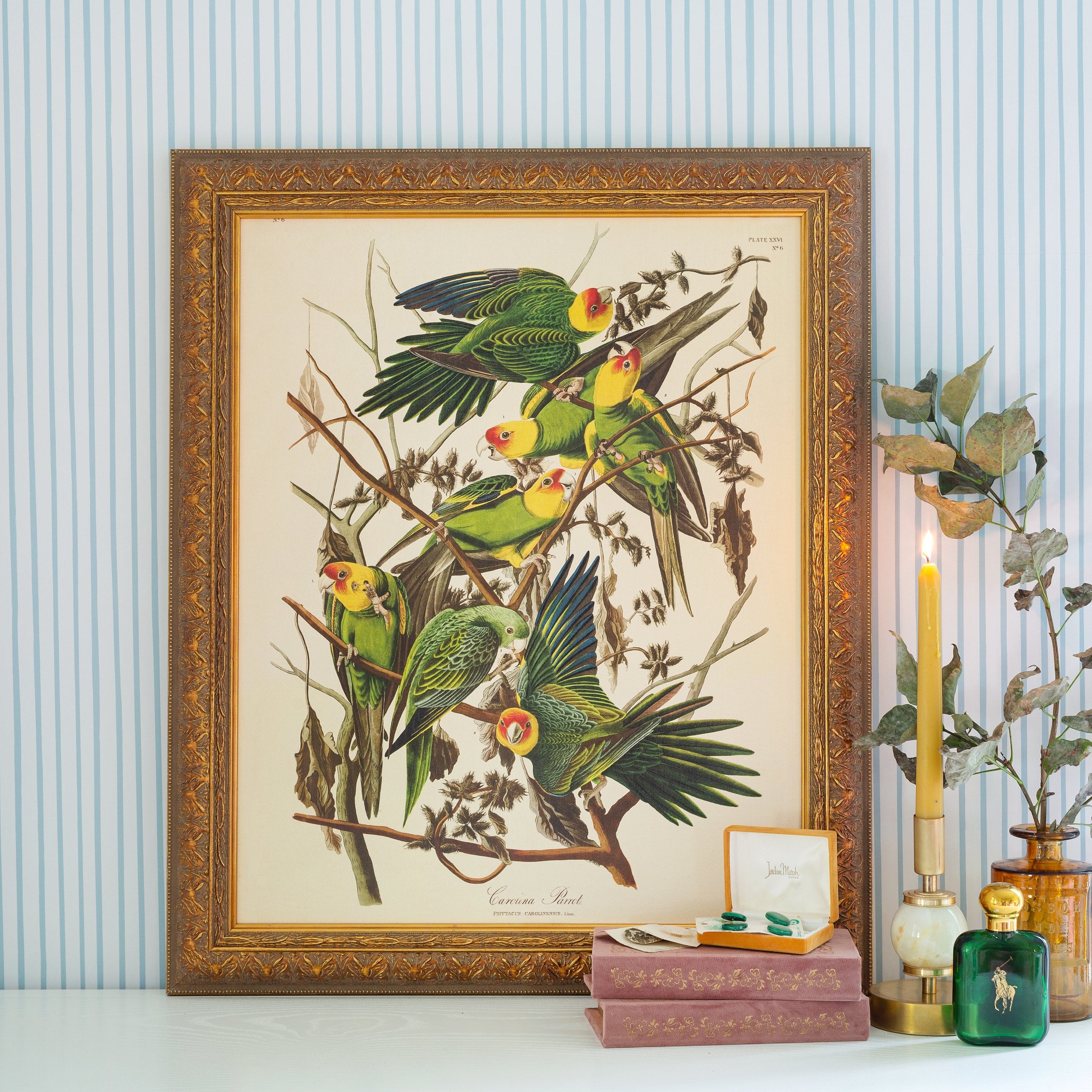 Carolina Parrots Botanical canvas framed in Regency Gold, size 20 x 24