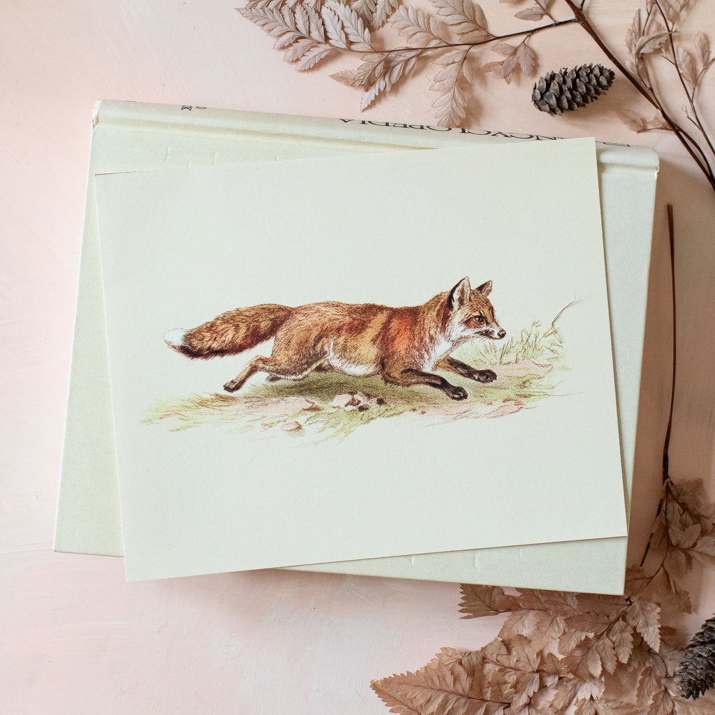 art print of foxy on the run, size 10 x 8
