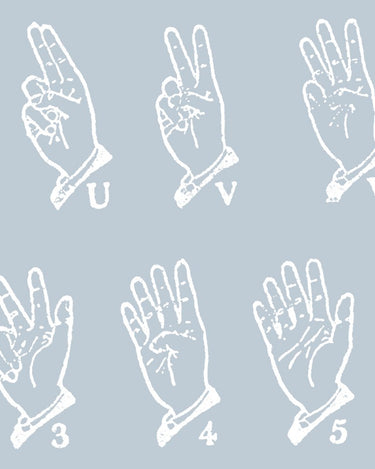 American Sign Language in Dusty Blue | Frame TV Art Design Details