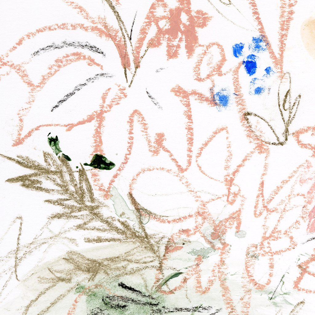 Gestural Floral Sketch
