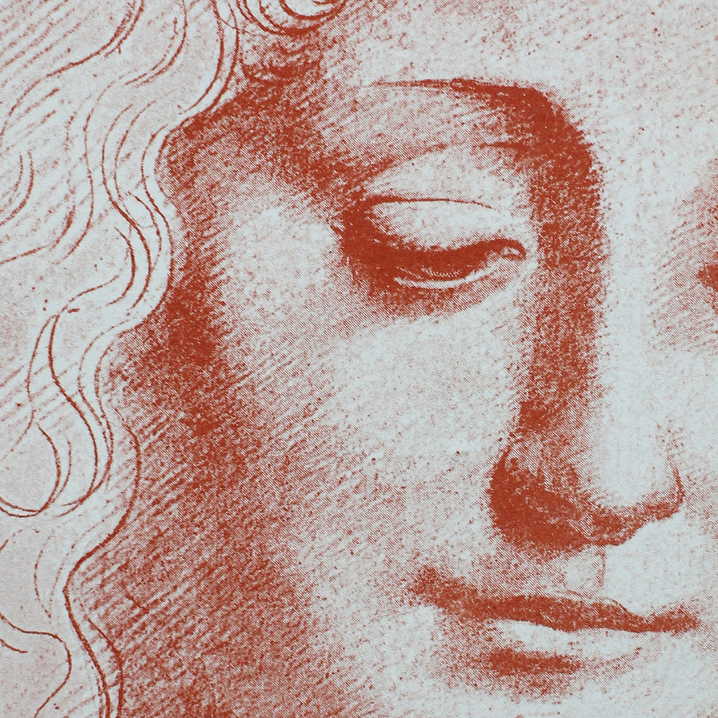 Portrait Of The Young Woman (da Vinci)