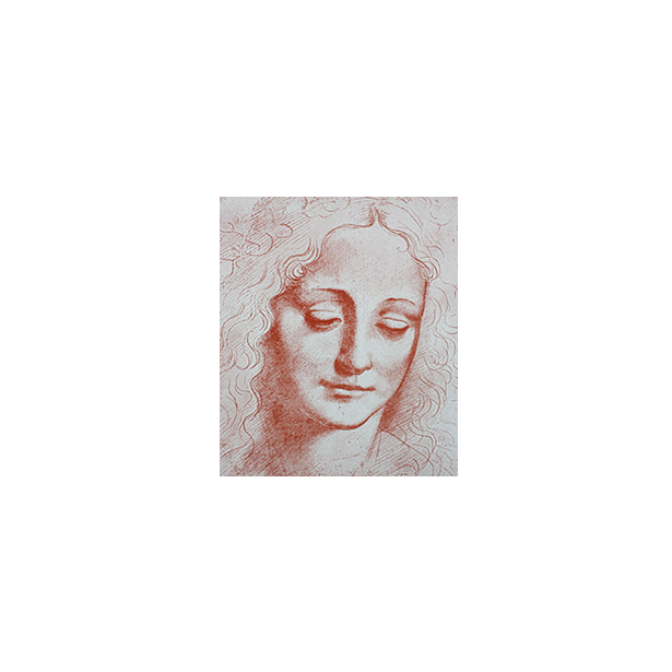 Portrait Of The Young Woman (da Vinci)