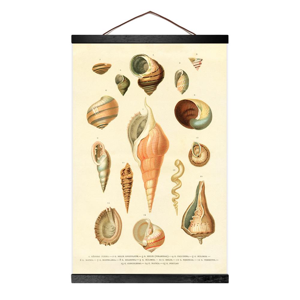 shells botanical (hanger & kicker frames)