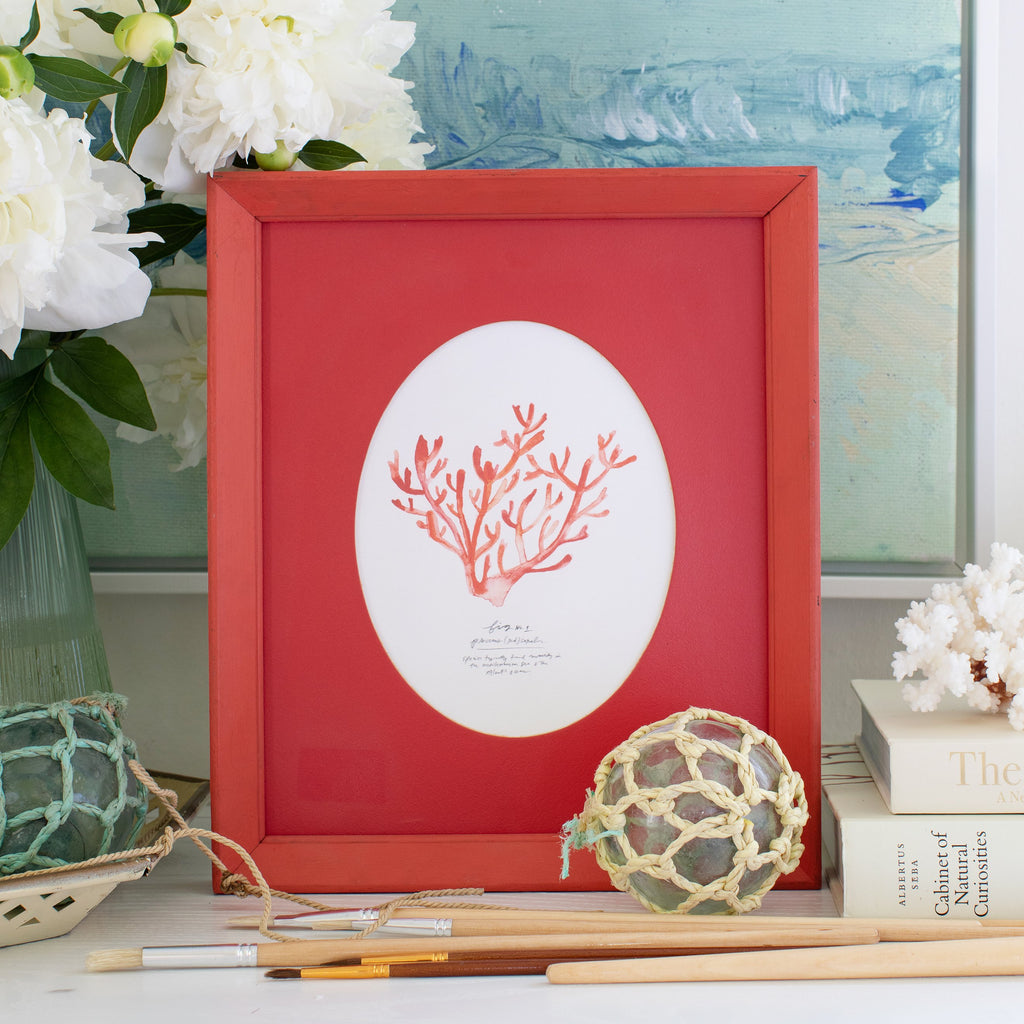 red coral mini art print in vintage frame, size 8 x 10.